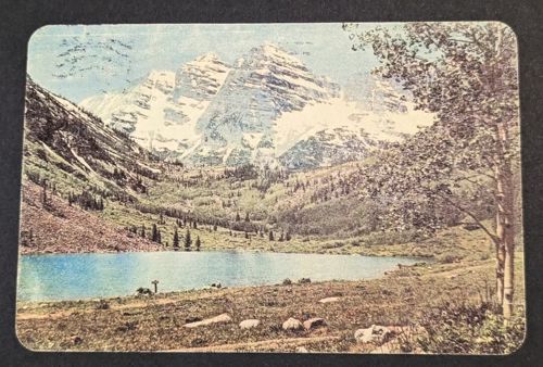 Dash Remington / The Great American Monkey 1000 photo