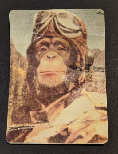 Dash Remington / The Great American Monkey 1000 photo