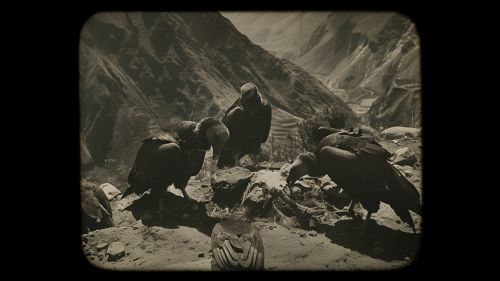 The Fifth Wall photo
